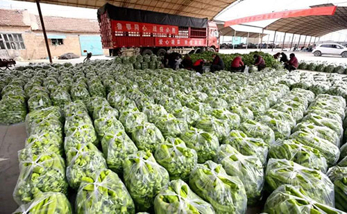 我是湖南長沙蔬菜批發市場，買多少錢的農藥殘留檢測儀合適？